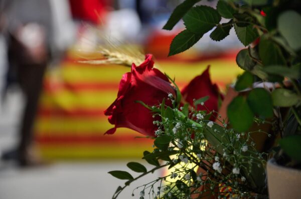 San Jorge